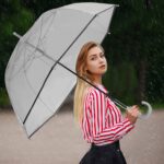 windproof oversized clear bubble wedding umbrella