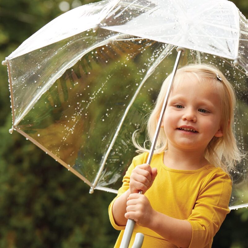 clear bubble wedding umbrella
