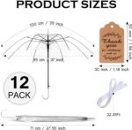 set clear umbrella