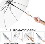 set clear umbrella