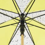 wooden pole umbrella