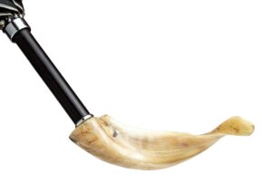 import placeholder for 7953