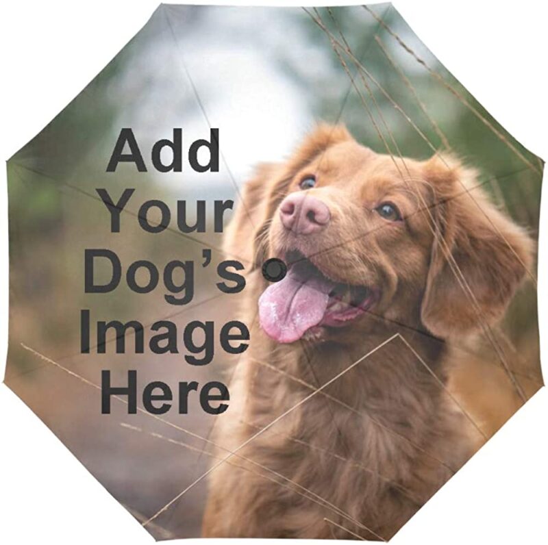 import placeholder for 8446