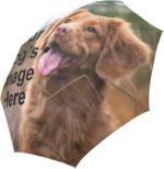 compact folding umbrella