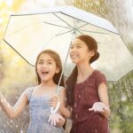 pack of 4 clear wedding umbrella