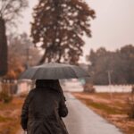 pack of 2 packs automatic windproof compact folding umbrella