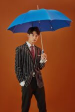 silver eagle umbrella