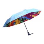 hand held umbrella