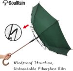 automatic umbrella