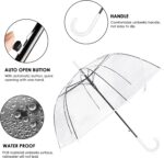 clear wedding umbrella