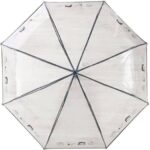 nc snoopy fresh transparent umbrella men s and women s internet celebrity long handle auto