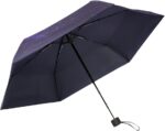 compact folding umbrella