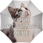 import placeholder for 8465