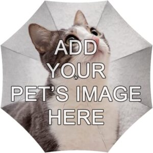 import placeholder for 8465