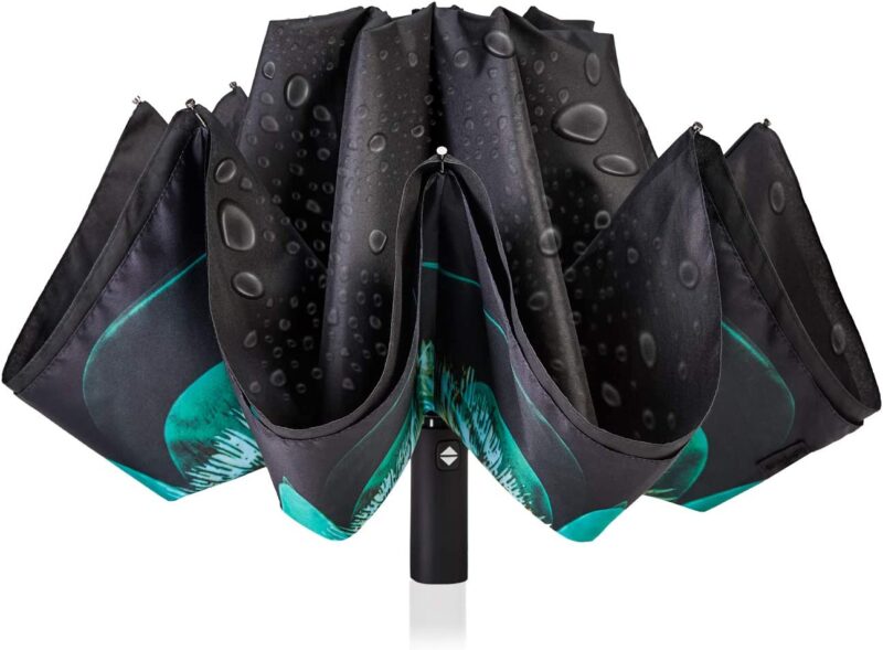 automatic double canopy reverse folding umbrella