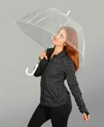 clear bubble wedding umbrella