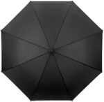 automatic umbrella for car