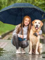 oversized waterproof golf umbrella