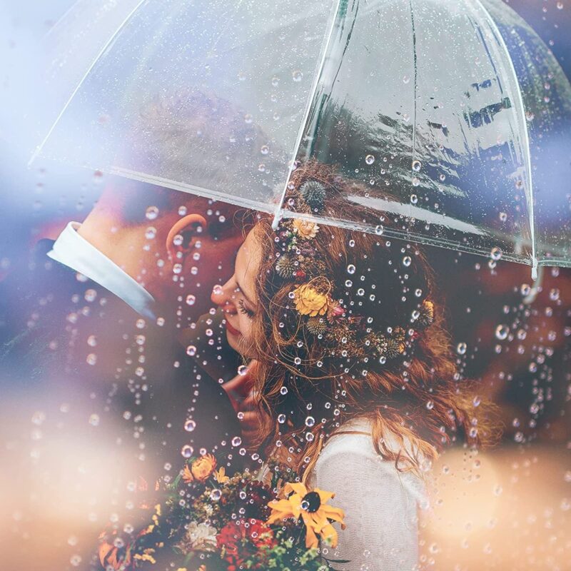 clear wedding umbrella