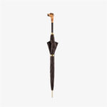 import placeholder for 7972