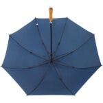 engraved handle umbrella