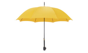 import placeholder for 8197