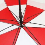 vancouver umbrella