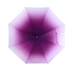 second bending the double umbrella