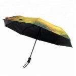 famous painted umbrella