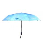 hand held umbrella