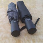 maple straight umbrella