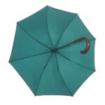 pantone colour umbrella