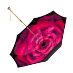 rose long umbrella