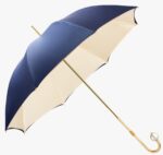 daiqing blue long handle umbrella