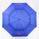 delicate ball folding umbrella