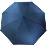 engraved handle umbrella