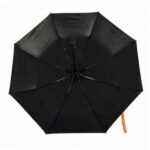 famous painted umbrella
