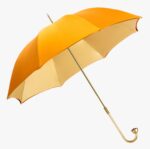 deciduous yellow curved rose long handle umbrella