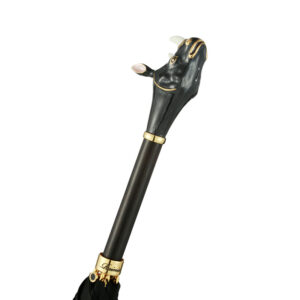 import placeholder for 7979