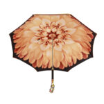 bee dahlia double umbrella