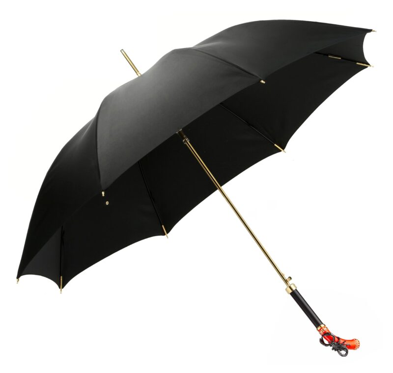 rain and black scorpion long handle umbrella