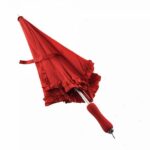heart shape umbrella