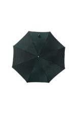 two fold mountain eagle folding umbrella
