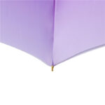 second bending the double umbrella