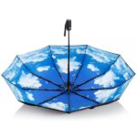 blue moma umbrella