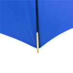 clown fish straight umbrella