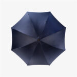 blue swallowtail double umbrella