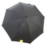 design anime umbrella