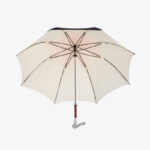 dragon straight umbrella