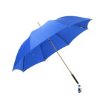 clown fish straight umbrella